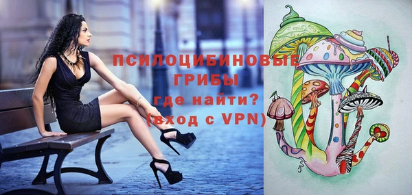 ГАЛЛЮЦИНОГЕННЫЕ ГРИБЫ Абинск