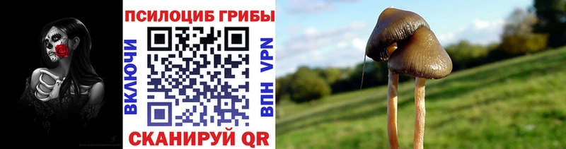 Псилоцибиновые грибы прущие грибы Сольцы